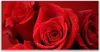 Glasbilder 120x60 Wandbild Druck auf Glas Rosen Pflanzen Produktbild-Vorschau 1