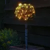 A lit-up topiary tree in a pot at night, with yellow flowers in the foreground and a dark wooden fence in the background. Produktbild-Vorschau