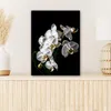 MuchoWow® - Leinwandbilder - Orchidee - Blumen - Weiß - Produktbild-Vorschau 6