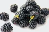 Food-United BROMBEEREN FRUCHT-PÜREE Ponthier 1KG für Produktbild-Vorschau 4