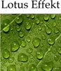 heimtexland ® Outdoorkissen Gefüllt Lounge Garten Kissen Produktbild-Vorschau 4