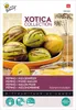 Buzzy Xotica Pepino melón hruška semená - cca 15 semien | Náhľad obrázku produktu 1