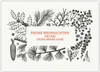 4x Klassische botanische Weihnachtskarte mit Zapfen und Produktbild-Vorschau 1