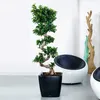 LECHUZA Pot de fleurs QUADRO Premium LS 35 Noir brillant | Voir les images du produit 16