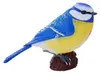 Mojo Spielzeug Spielfigur Blaumeise - pädagogisches Produktbild-Vorschau 1