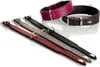Hunter Halsband Basic schwarz, Größe: 55 cm / Breite: 3,9 Produktbild-Vorschau 2