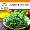 SAFLAX Garden in the bag - BIO - Divoká raketa - Diplotaxis Náhled obrázku produktu 10