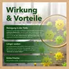GRASHÜPFER® Probiotischer Öko-Bodenreiniger für Produktbild-Vorschau 4