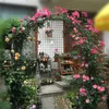 Arco di rose, arco a volta, arco rampicante, traliccio per Anteprima dell’immagine prodotto 15