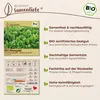 Samenliebe  Mangold Samen | Schnittmangold - winterhart & Produktbild-Vorschau 3