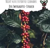Kaffee Samen (Coffea arabica nana) - Immergrüner Produktbild-Vorschau 3