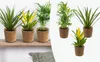 3x Tropische Zimmerpflanzenmischung Inkl. Seagrass Basket Produktbild-Vorschau 1