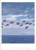 Quint Buchholz: Augenblicke Kalender 2027 Produktbild-Vorschau 13