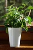 Vaso Prosperplast TUBUS SLIM bianco lucido 30 cm Anteprima dell’immagine prodotto 14