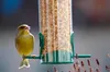 dobar Kleine Futtersäule mit Anflugstangen, Futterspender Produktbild-Vorschau 2
