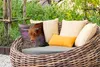 MuchoWow® Outdoor Kissen - Schottisches Hochlandrind - Produktbild-Vorschau 3