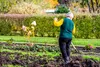 An older person gardening in a garden with autumn foliage in the background. Produktbild-Vorschau