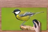 MuchoWow® Schreibtischunterlage Vogel - Kohlmeise - Tiere - Produktbild-Vorschau 3