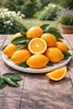 Citrus sinensis „Navelina” 120–140 cm – drzewo pomarańczowe Podgląd zdjęcia produktu 3