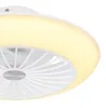 Stropný ventilátor Globo Lighting kovovo biely, LED Náhľad obrázku produktu 3