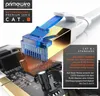 Primewire LAN-Kabel, CAT.8, RJ-45 (Ethernet) (25 cm), Produktbild-Vorschau 5