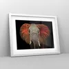 Gerahmtes Poster - Weißer Rahmen - Elefant Rot Ohren - Produktbild-Vorschau 8