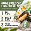 REAVET Grünlippmuschel Kapseln 100 Stück Hund hochdosiert - Produktbild-Vorschau 4