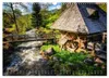 Faszination Schwarzwald (Wandkalender 2027 DIN A3 quer), Produktbild-Vorschau 8