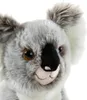 Heunec BEDROHTE TIERE Koala Bär Größe 28 cm Produktbild-Vorschau 2