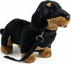 A plush dachshund toy with a leash. Podgląd zdjęcia produktu