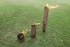 Three burning logs of different sizes are standing upright on a grassy lawn. Produktbild-Vorschau