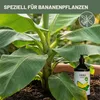 Green Home Love Nature  Bananendünger 1 l, Flüssigdünger Produktbild-Vorschau 2