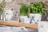 A rustic wooden tray holding several decorative pots with plants, salt and pepper shakers, and a newspaper. Podgląd zdjęcia produktu
