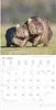 Alpha Edition - Tierbabys Kalender 2026 - Wandkalender Produktbild-Vorschau 15