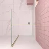 Duschspa Walk-In Dusche 120x200cm Gold gebürstet Duschwand Produktbild-Vorschau 4