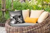 MuchoWow® Outdoor Kissen - Kuh - Schottisches Hochlandrind Produktbild-Vorschau 3