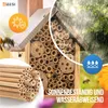 BEESI 100x Bambusröhrchen für Insektenhotel I 14 cm Länge I Produktbild-Vorschau 3