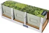 A product package containing three small plant pots with a botanical print on top. Produktbild-Vorschau