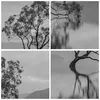 Bild auf Leinwand - Leinwandbild - 5 Teile - Baum Symmetrie Produktbild-Vorschau 8