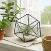 Relaxdays rostlinné terárium, sklo a cín, dekorativní Náhled obrázku produktu 3