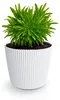 Prosperplast Pflanztopf Buckingham - elfenbeinweis - D19 cm Produktbild-Vorschau 2
