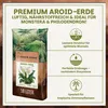 Green Home Aroid Erde 18 L – Spezialerde für Monstera, Produktbild-Vorschau 2