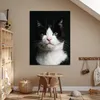 MuchoWow® Poster Katze - Schwarz - Weiß 90x120 cm - Produktbild-Vorschau 6