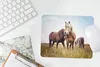 MuchoWow® Mauspad Mousepad Pferde - Gras - Frühling 23x19 Produktbild-Vorschau 5