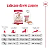 Royal Canin Medium Adult 4 kg Náhľad obrázku produktu 6