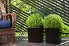 A balcony with a wicker chair and two potted plants. Produktbild-Vorschau