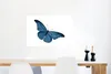 MuchoWow® Poster Schmetterling - Tiere - Blau 90x60 cm - Produktbild-Vorschau 5