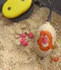 Feederová návnada Twister Mini Snail Wafters 10 x 7 mm Náhľad obrázku produktu 16