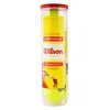 Wilson Tennisbälle Tennis Sport Mannschaft Championship 4er Produktbild-Vorschau 3