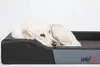 A white dog lies on a black and gray dog bed. Produktbild-Vorschau